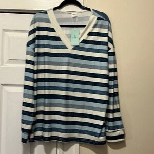 Striped V-Neck Tunic Top in Blue and White